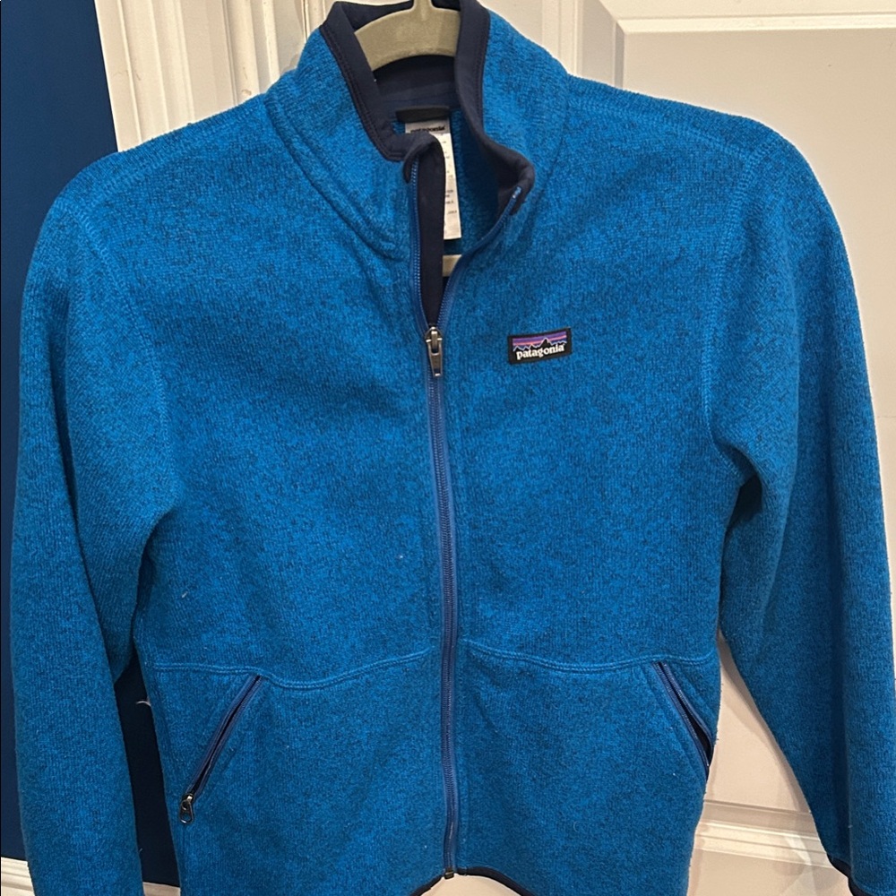 Patagonia Kids Vibrant Blue fleece Jacket Size 10